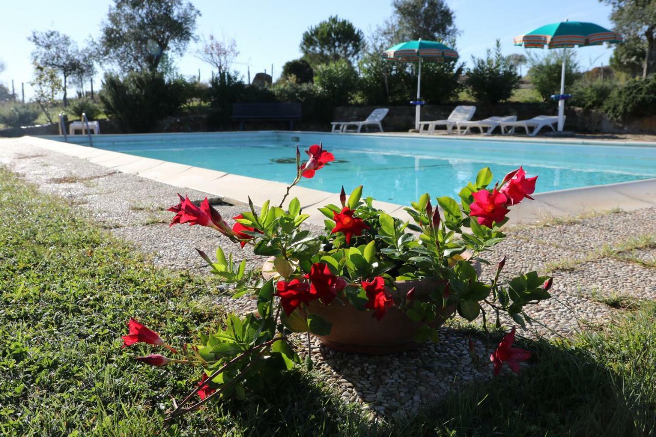 Agriturismo Tinti Montiano  Dış mekan fotoğraf