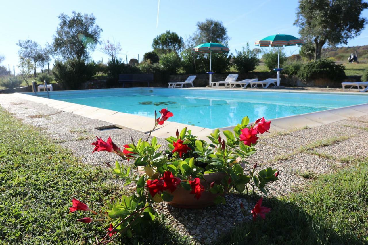 Agriturismo Tinti Montiano  Dış mekan fotoğraf